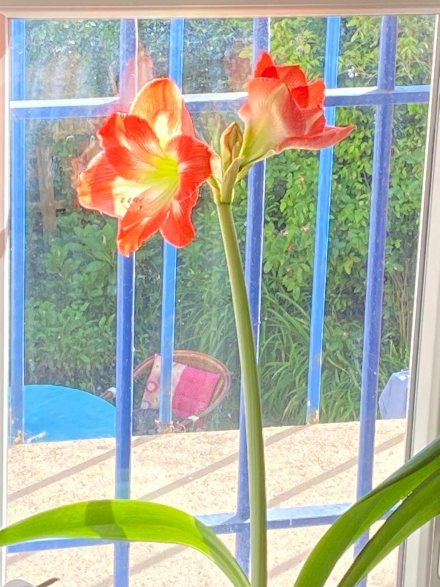 Haut De Jardin Dans Une Maison Дижон Экстерьер фото